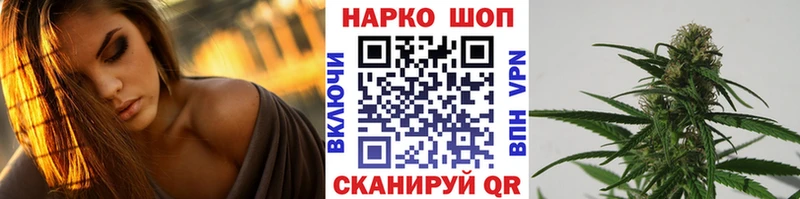ГАШ Зерноград
