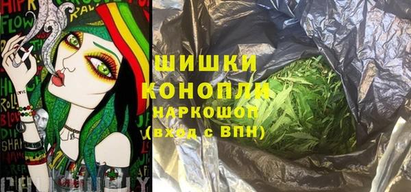 дживик Балахна
