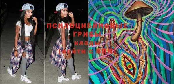 мяу мяу мука Баксан
