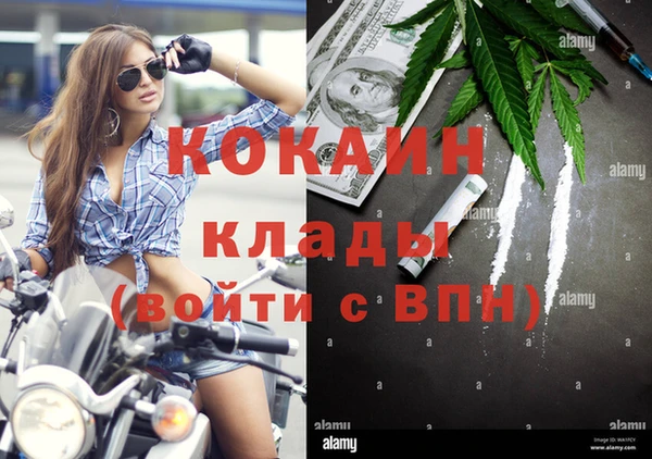 дживик Балахна