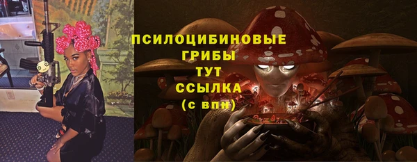 мяу мяу мука Баксан
